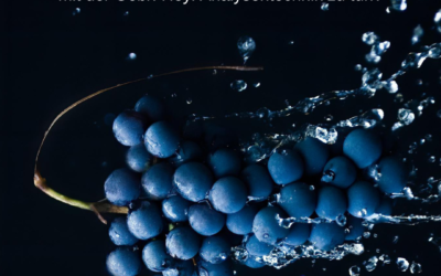 Wir gestalten aktiv unsere Zukunft!