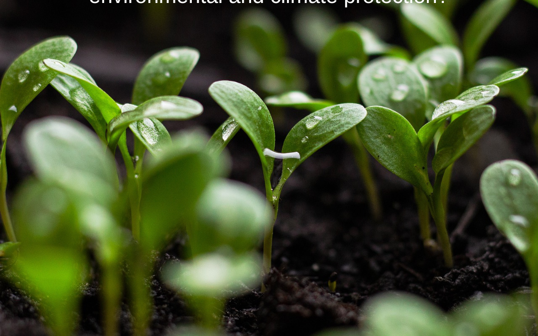 Green thinking and innovative ideas