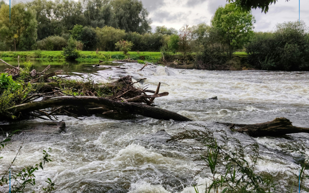 Wasser = Naturgewalt
